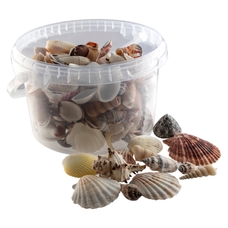 Mixed Shells from Hope Education - 2.5L Tub